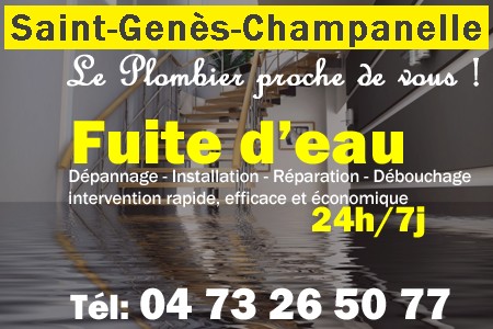 fuite Saint-Genès-Champanelle - fuite d'eau Saint-Genès-Champanelle - fuite wc Saint-Genès-Champanelle - recherche de fuite Saint-Genès-Champanelle - détection de fuite Saint-Genès-Champanelle - dépannage fuite Saint-Genès-Champanelle