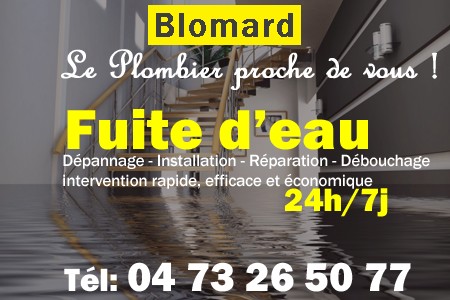 fuite Blomard - fuite d'eau Blomard - fuite wc Blomard - recherche de fuite Blomard - détection de fuite Blomard - dépannage fuite Blomard