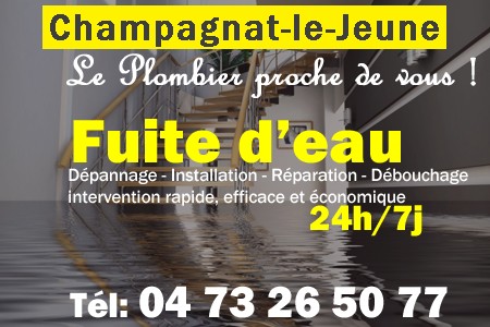 fuite Champagnat-le-Jeune - fuite d'eau Champagnat-le-Jeune - fuite wc Champagnat-le-Jeune - recherche de fuite Champagnat-le-Jeune - détection de fuite Champagnat-le-Jeune - dépannage fuite Champagnat-le-Jeune