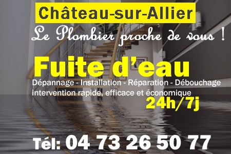 fuite Château-sur-Allier - fuite d'eau Château-sur-Allier - fuite wc Château-sur-Allier - recherche de fuite Château-sur-Allier - détection de fuite Château-sur-Allier - dépannage fuite Château-sur-Allier