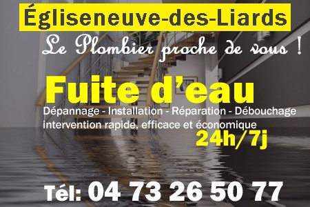 fuite Égliseneuve-des-Liards - fuite d'eau Égliseneuve-des-Liards - fuite wc Égliseneuve-des-Liards - recherche de fuite Égliseneuve-des-Liards - détection de fuite Égliseneuve-des-Liards - dépannage fuite Égliseneuve-des-Liards