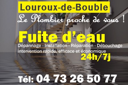 fuite Louroux-de-Bouble - fuite d'eau Louroux-de-Bouble - fuite wc Louroux-de-Bouble - recherche de fuite Louroux-de-Bouble - détection de fuite Louroux-de-Bouble - dépannage fuite Louroux-de-Bouble