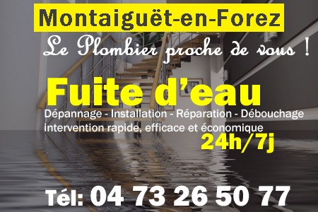 fuite Montaiguët-en-Forez - fuite d'eau Montaiguët-en-Forez - fuite wc Montaiguët-en-Forez - recherche de fuite Montaiguët-en-Forez - détection de fuite Montaiguët-en-Forez - dépannage fuite Montaiguët-en-Forez