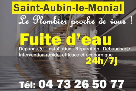 fuite Saint-Aubin-le-Monial - fuite d'eau Saint-Aubin-le-Monial - fuite wc Saint-Aubin-le-Monial - recherche de fuite Saint-Aubin-le-Monial - détection de fuite Saint-Aubin-le-Monial - dépannage fuite Saint-Aubin-le-Monial