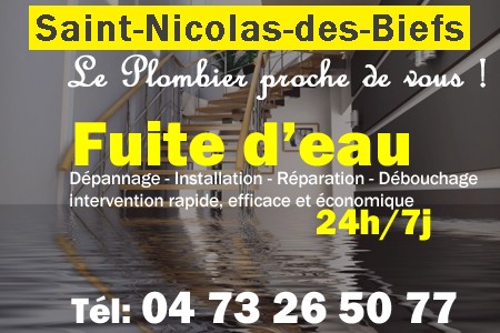 fuite Saint-Nicolas-des-Biefs - fuite d'eau Saint-Nicolas-des-Biefs - fuite wc Saint-Nicolas-des-Biefs - recherche de fuite Saint-Nicolas-des-Biefs - détection de fuite Saint-Nicolas-des-Biefs - dépannage fuite Saint-Nicolas-des-Biefs