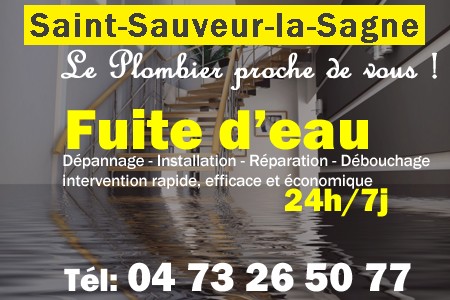 fuite Saint-Sauveur-la-Sagne - fuite d'eau Saint-Sauveur-la-Sagne - fuite wc Saint-Sauveur-la-Sagne - recherche de fuite Saint-Sauveur-la-Sagne - détection de fuite Saint-Sauveur-la-Sagne - dépannage fuite Saint-Sauveur-la-Sagne