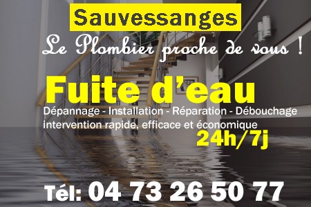 fuite Sauvessanges - fuite d'eau Sauvessanges - fuite wc Sauvessanges - recherche de fuite Sauvessanges - détection de fuite Sauvessanges - dépannage fuite Sauvessanges