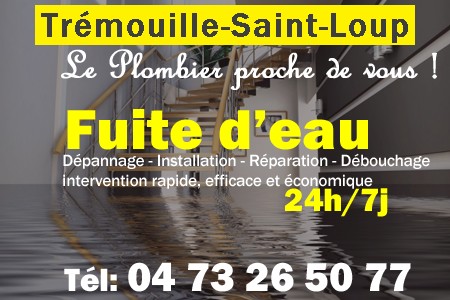 fuite Trémouille-Saint-Loup - fuite d'eau Trémouille-Saint-Loup - fuite wc Trémouille-Saint-Loup - recherche de fuite Trémouille-Saint-Loup - détection de fuite Trémouille-Saint-Loup - dépannage fuite Trémouille-Saint-Loup