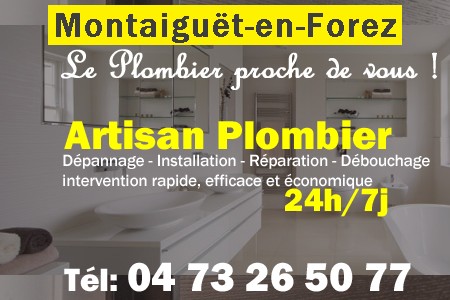 Plombier Montaiguët-en-Forez - Plomberie Montaiguët-en-Forez - Plomberie pro Montaiguët-en-Forez - Entreprise plomberie Montaiguët-en-Forez - Dépannage plombier Montaiguët-en-Forez